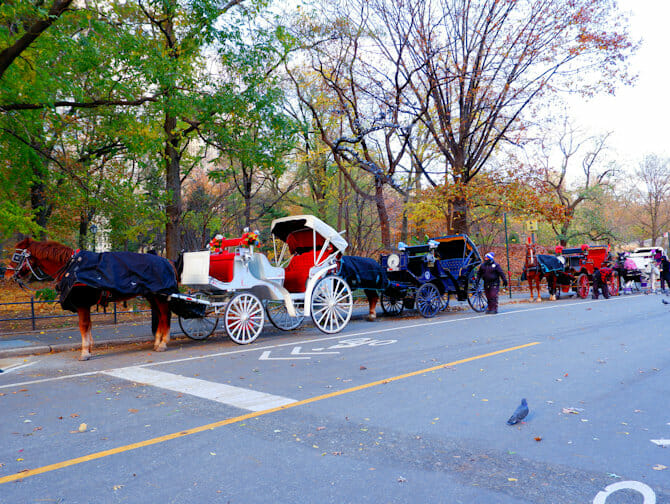 A Carriage ride in Central Park NewYork.co.uk
